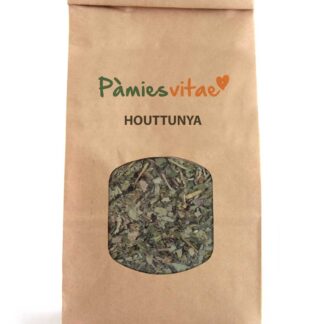 HOUTTUYNIA HERBA DEL PEIX - Houttuynia cordata