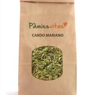 CARD MARIÀ - FULLES- Silybum marianum
