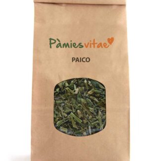 PAICO - Chenopodium ambrosioides