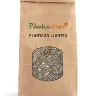 PLANTAGO/LLANTEN - Plantago major