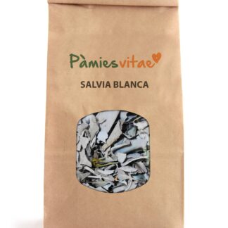 SALVIA BLANCA INCIENSO - Salvia apiana