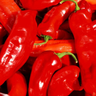 Pimiento rojo italiano