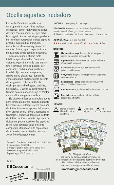 Ocells aquàtics nedadors, ràl·lids, gavines i xatracs de les zones humides de Catalunya - Imagen 4