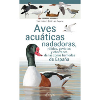 Aus aquàtiques nedadores, ràlids, gavines i xatracs de les zones humides d'Espanya