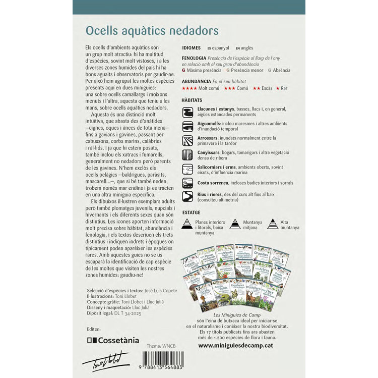 Ocells aquàtics nedadors, ràl·lids, gavines i xatracs de les zones humides de Catalunya. - Imatge 4