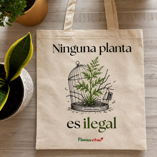 Merchandising Pàmies